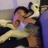 graceful_wolf